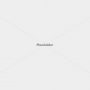 placeholder-1600