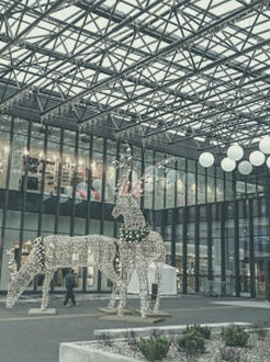 Shopping Mall “Mega”